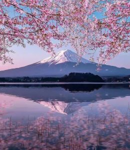 中国跨境电商要在日本开网店,常见问题的解决方法- 墨攻推广MOGOEC-墨攻推广MOGOEC