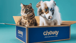 Chewy交卷3.1亿美元季度“答卷”:订阅与会员双飞轮,给跨境卖家的5个启发-墨攻推广MOGOEC