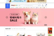 藏在身边的蓝海市场:韩国Coupang平台正成为中国卖家利润新高地-墨攻推广MOGOEC